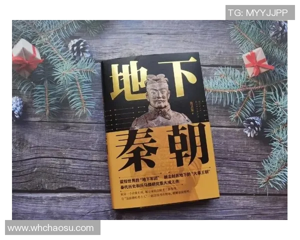 足球明星谜团揭晓 揭示神秘人物背后的传奇故事与辉煌成就